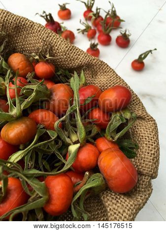 Rose hips on a white marble plate