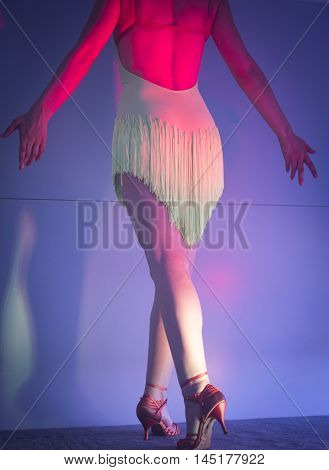 Woman Dancer Dancing In Show