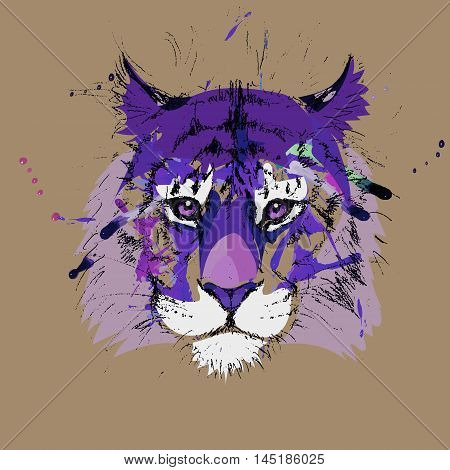 Adult tiger graphic icon vector zen, object, artwork, face, design,