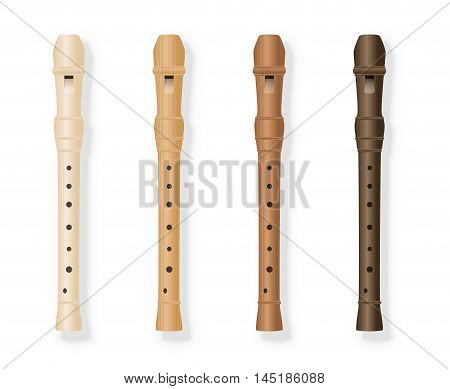 Recorder variations - four fipple flutes in different kinds of wood. Isolated vector illustration on white background.
