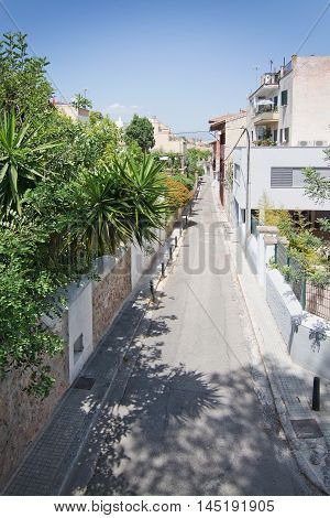 El Terreno Street View