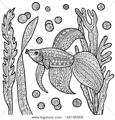 Vector fish tropical illustration for adult coloring book. Hand drawn coloring page.