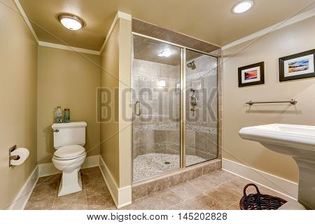 Elegant Beige Bathroom Interior With Walk-in Shower