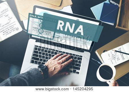 RNA Ribonucleic Physical Molecule Evolution Concept