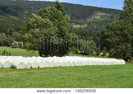 Wrapped round bales of hay. Round bales hay.