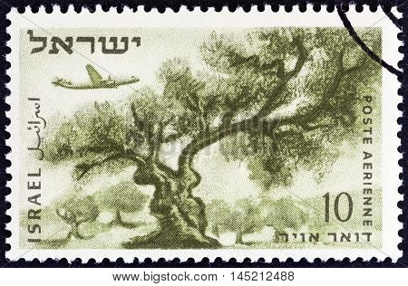 ISRAEL - CIRCA 1953: A stamp printed in Israel shows Olive tree, circa 1953.