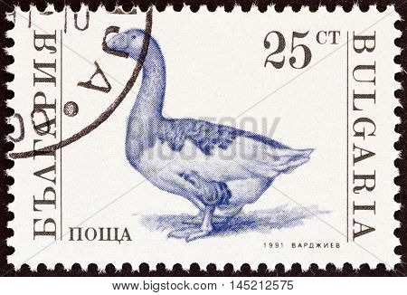 BULGARIA - CIRCA 1991: A stamp printed in Bulgaria from the "Farm Animals " issue shows Goose (Anser anser domesticus), circa 1991.