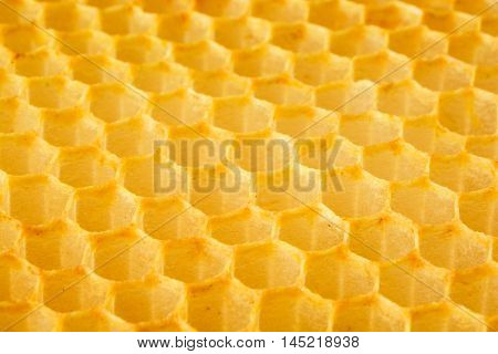Beautifull yellow natural honeycomb as background. Close-up.