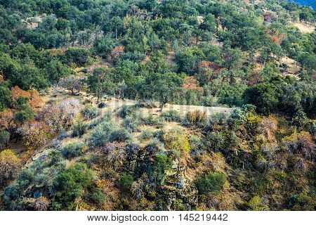 view to valley in sequoia national park in sunset