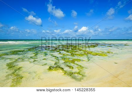 Picturesque Coast Diani
