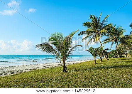African Coast Diani