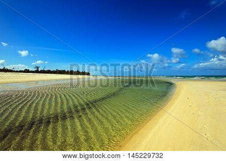 Picturesque Coast Diani