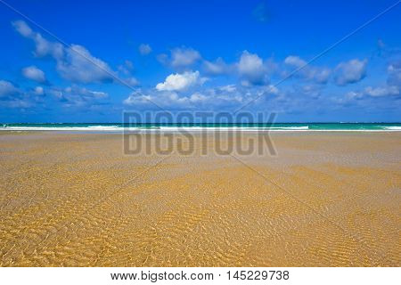 Picturesque Coast Diani