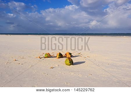 Picturesque Coast Diani