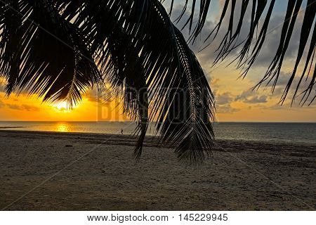 Evening Coast Diani