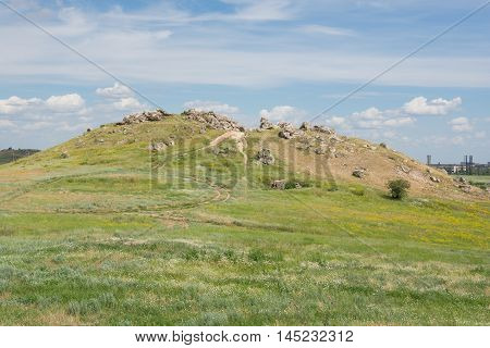 Mountain ears the a Kamyshin Volgograd region