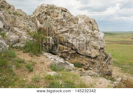 The Fossils Close-up On A Mountain Deep In Kamyshin Volgograd Region