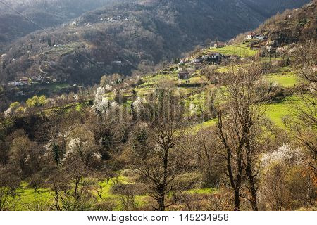 Image of sliding village Ropoto after a landslide in Greece