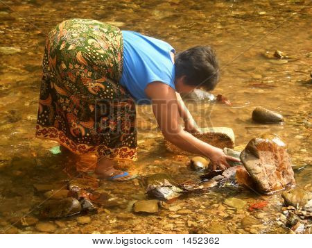 Iban 女人捕鱼虾在婆罗洲的河