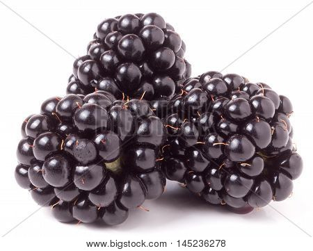 three blackberry isolated on a white background closeup.