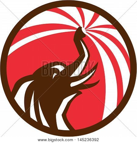 Illustration of an elephant bathing water from trunk viewed from the side set inside circle done in retro style.
