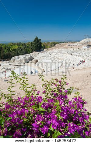 The famous greek theater of Syracuse Sicily with a flowered bougainvillae plant in the foreground