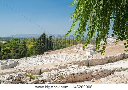 Section of the famous greek theater of Syracuse Sicily seen from the upper terrace with a caper plant in the foreground