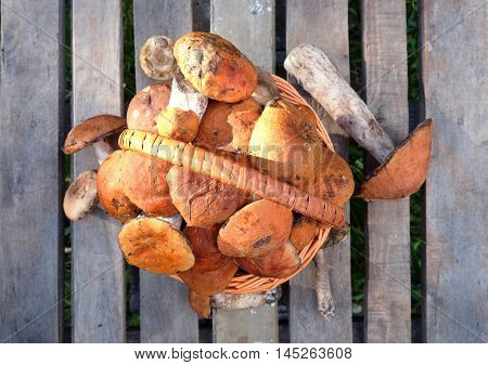 Still life with many edible mushrooms  in brown wicker basket on wooden table closeup wooden table. Top view outdoors close-up