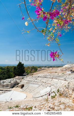 The famous greek theater of Syracuse Sicily with a flowered bougainvillae plant in the foreground