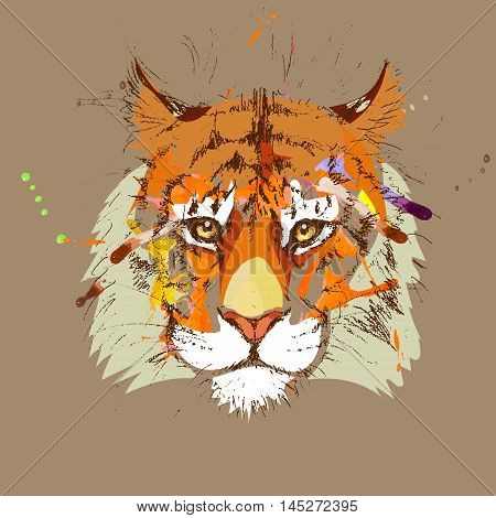 Adult Tiger Graphic, Icon, Vector