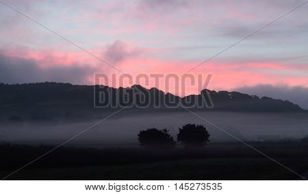 Morning mist over farmland in Axe Valley, Devon