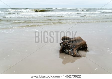 Baltic sea