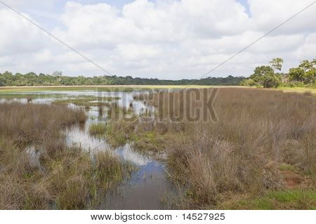 Parco nazionale di Wilpattu paesaggio