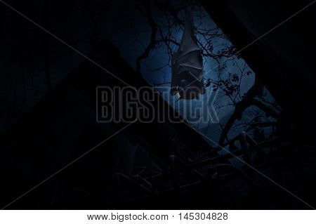 Bat sleep and hang over fence old grunge castle moon and cloudy sky Mysterious background Halloween concept