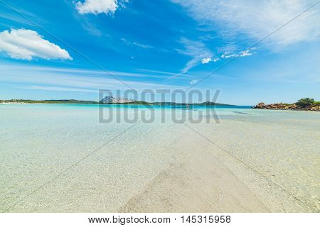 clear water in Lu Impostu beach Sardinia