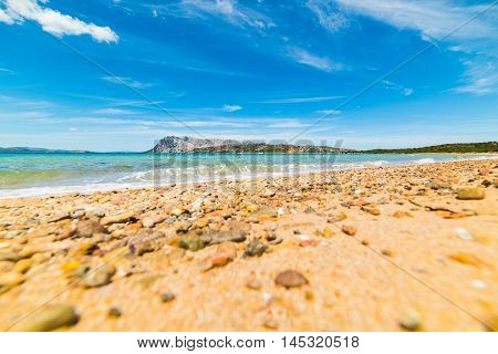 orange pebble in Capo Coda Cavallo shore Sardinia