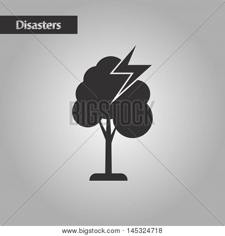 black and white style nature lightning tree