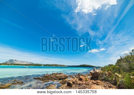 a blue sky over Cala Brandinchi Sardinia