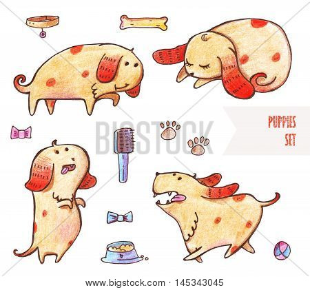 Cute little puppies set in various poses jumping sleeping running with fun accessories bone bow tie. Isolated on white hand drawn illustration drawn with color pencils.