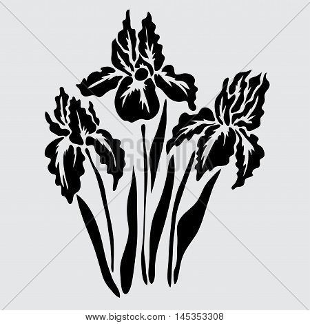 Floral Decoration