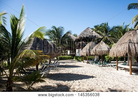 Beach with Palms at Playe del Carmen Mexico Yucatan