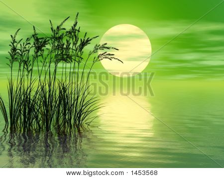 Grass_Sunset_Mid_A