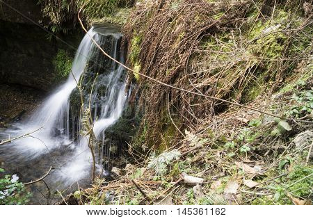 woodland waterfall in Fife during Autumn walk