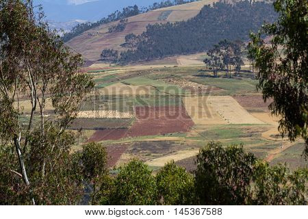Huayllabamba, Southern Peru