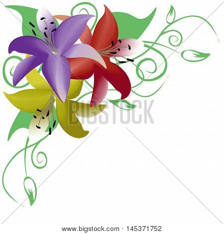 Bouquet of three multicolored roses, corner ornament  vector illustration