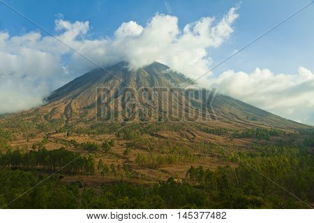 Dry nature on the Mountains in central Flores, Indonesia