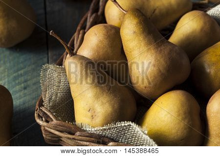 Raw Organic Green And Brown Bosc Pears