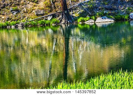 Yellow Green Summer Colors Water Reflection Abstract Wenatchee River Leavenworth Washington