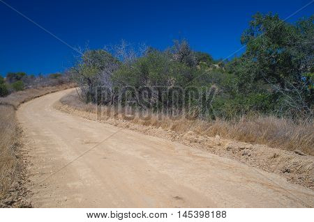 Long Woodland Dirt Road