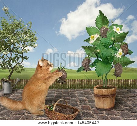 A cat is gathering berries of strawberries. But the berries look like mice.